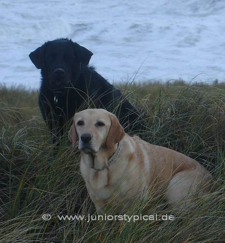 Nelly und Louise