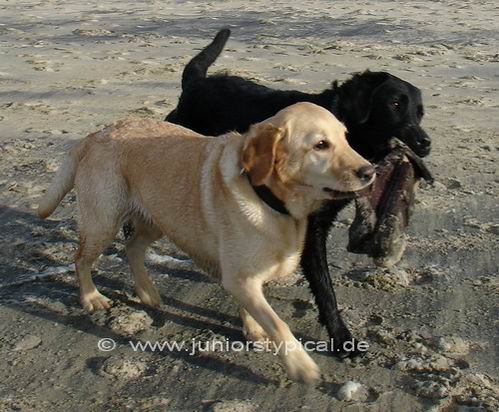Nelly und Louise