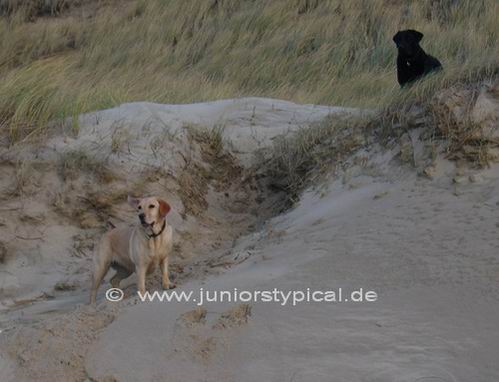 Nelly und Louise