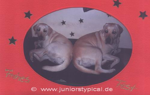 Sunny und Lolle