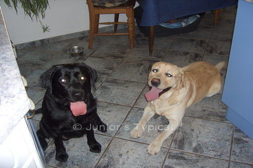 Nele und Percy