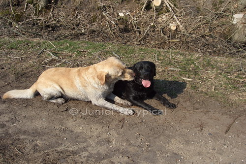 Nele und Percy