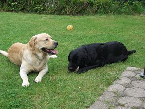 Percy und Nele