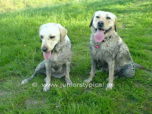 Emmi und Anuok
