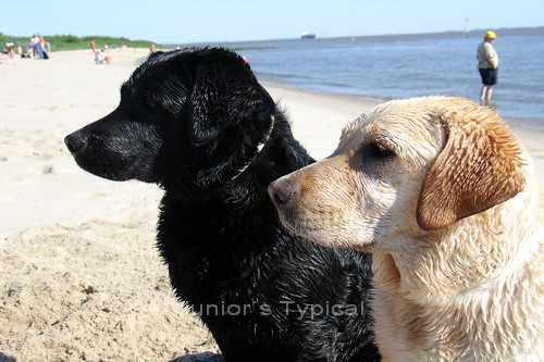 Nelly und Louise