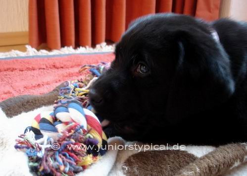 Monty