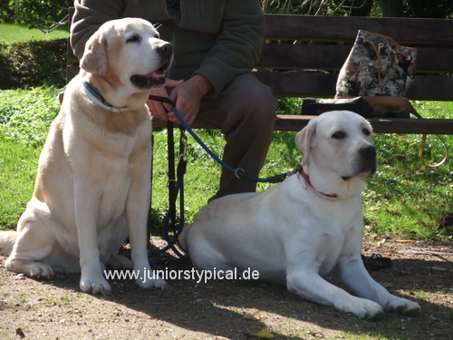 Merlin und Farley