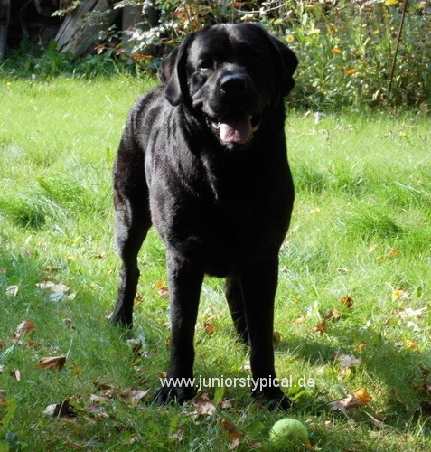 Max