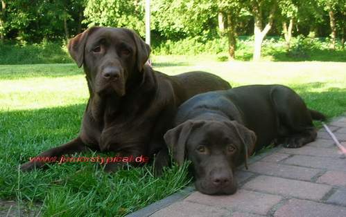 Hazel und Polly