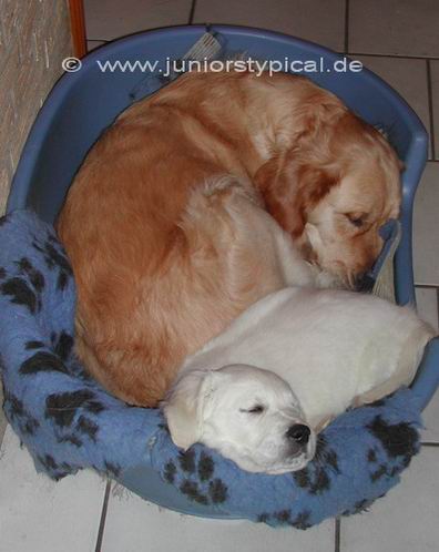 Ayla und Cyra