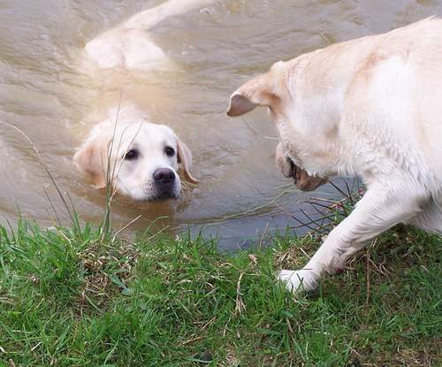 Emmi und Finja