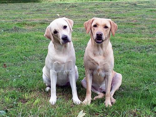 Emmi und Gina