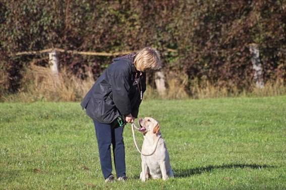 Wiebke und Ben