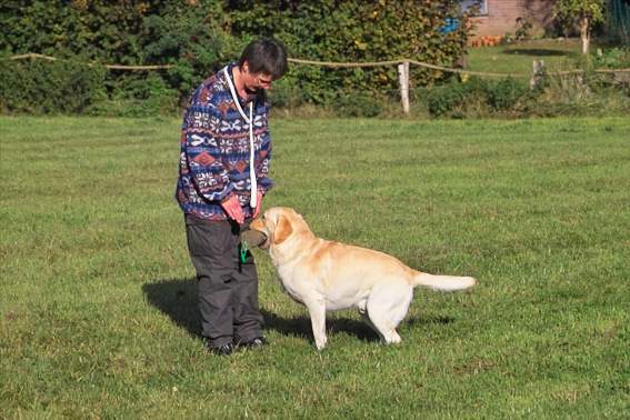 Faruke und Balu