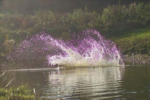 Wassersprung
