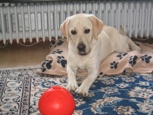 Ellie