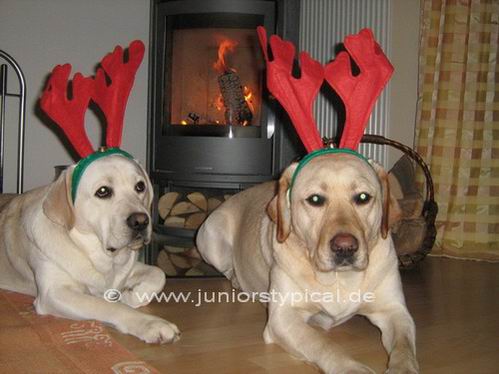 Linus und Theo