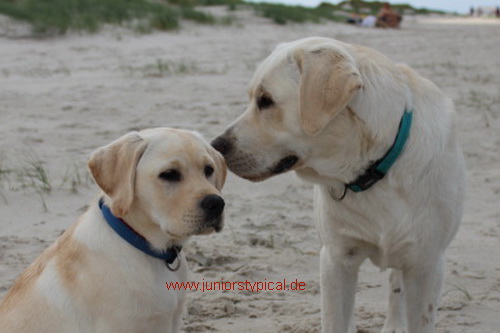 Curtis und Cooper