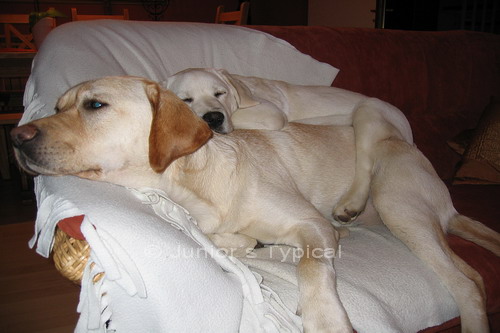 Linus und Theo