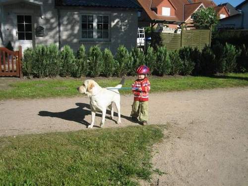 Kalle