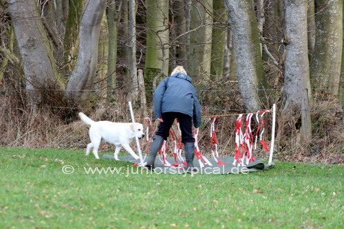 Kiki mit Merlin