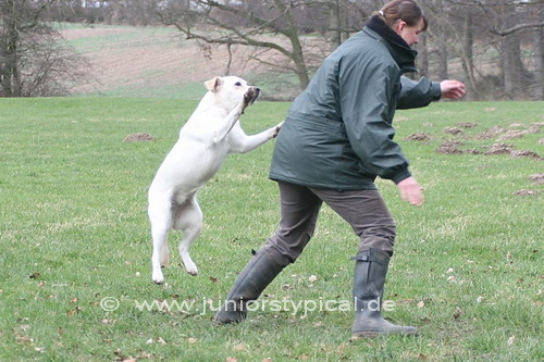 Rosi und Sunny