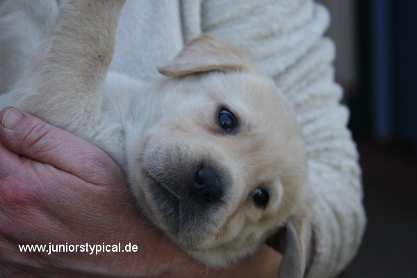 Morten