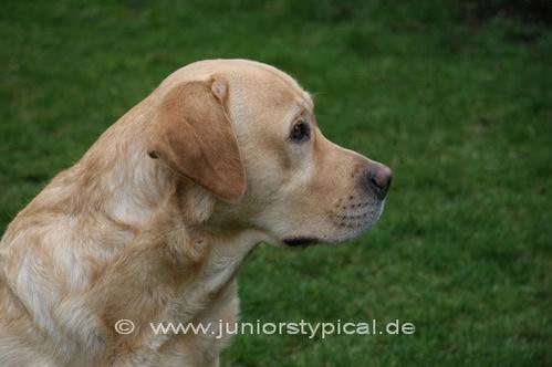 Percy