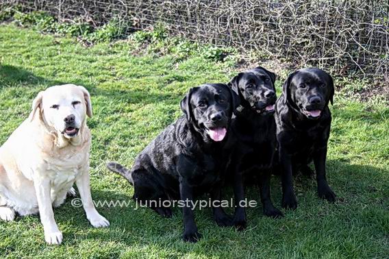 Eve,  Sugar, Trudy, Angel