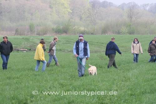 Wolfgang und Dandy