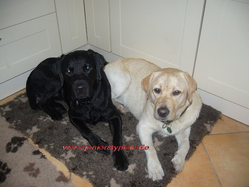 Paul und Yuma