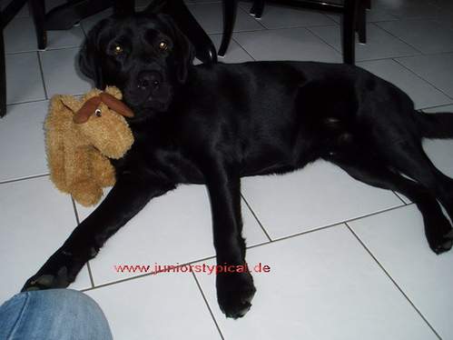 Ares