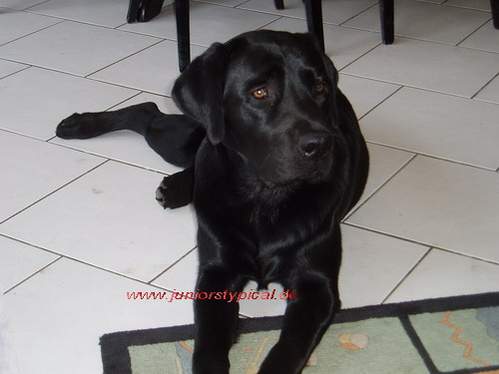 Ares