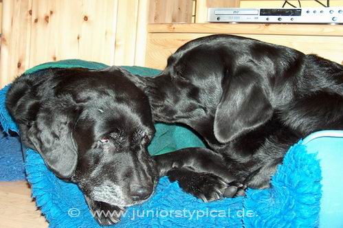 Rieke und Nele
